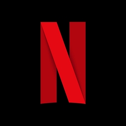 NETFLIX INC COM